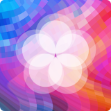 动态壁纸桌面 v5.7.572