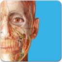 atlas人体解剖学图谱app下载，atlas人体解剖学图谱v2026.5.09苹果版app下载
