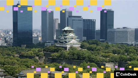 Э�鶯̬����̫��׼��ӭ�Ӽ���������Fusaka����