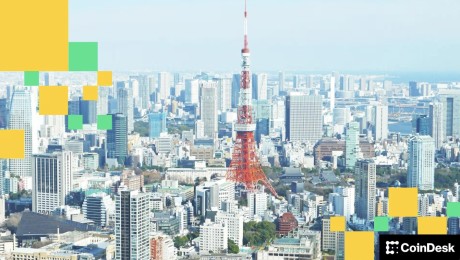 ���޳�������������Ϣ�����������ޣ����رҾ����ձ�����