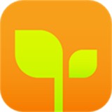 �ױ������