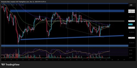 (���������ƽ̨)���رҼ۸�Ԥ�⣺BTC ����ͽ������ʽ�����ʾ����ͻ��