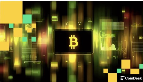 �����ʲ�������˾ Bitwise ��ʾ�����رҽ��� 2026 ���������������