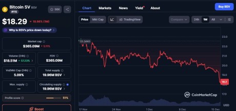 Ӣ����߷�Ժ���� BSV Ͷ���� 130 ����Ԫ������