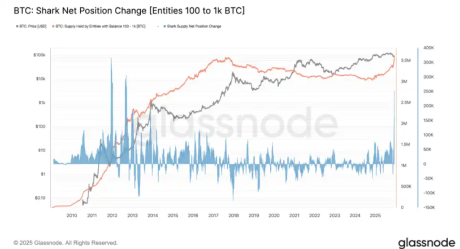 ���������رһس�30%֮�ʣ��������ַ������13��������ٶȼӲ�